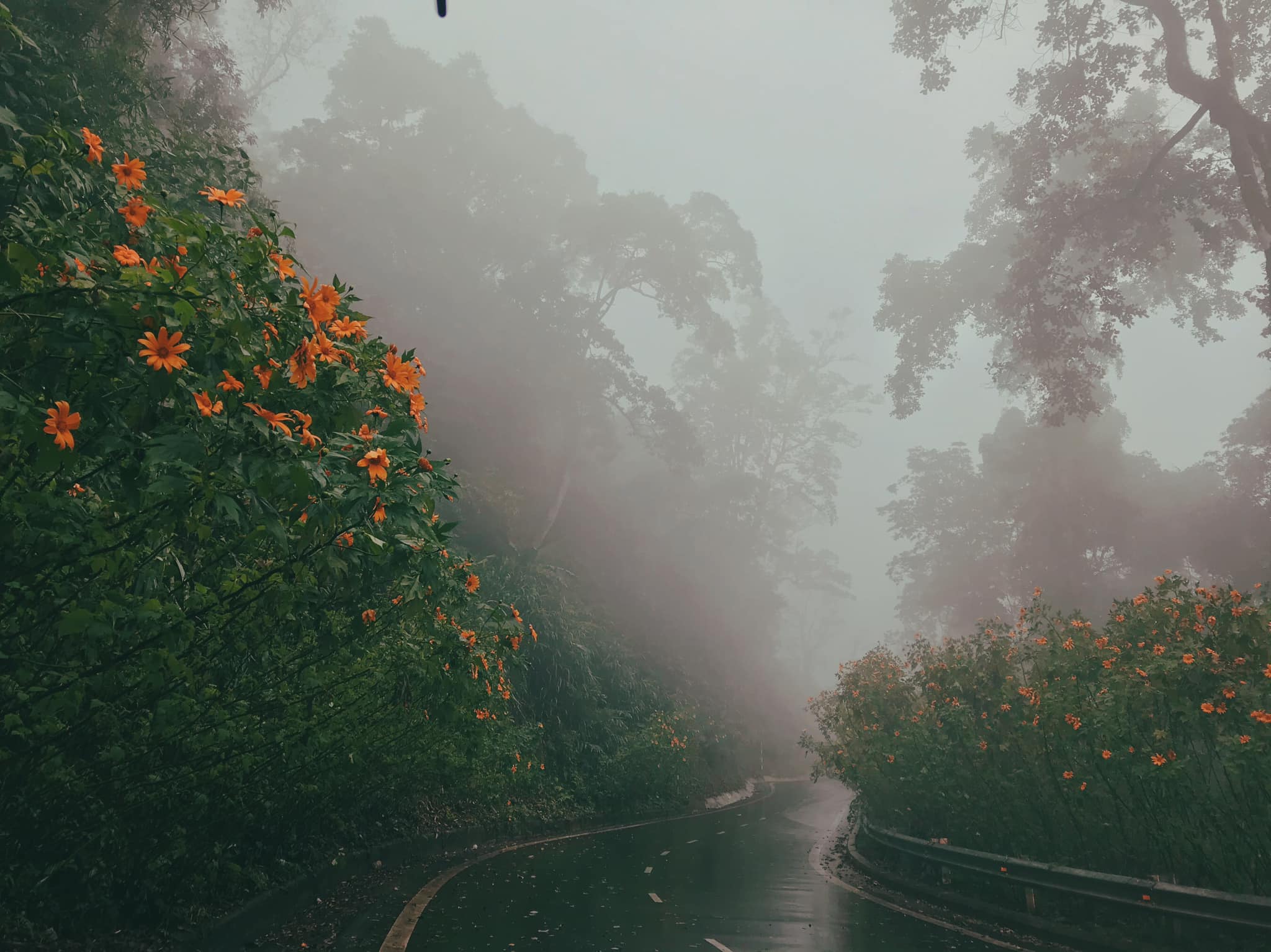 Start your Hanoi Travel with tranquil vistas